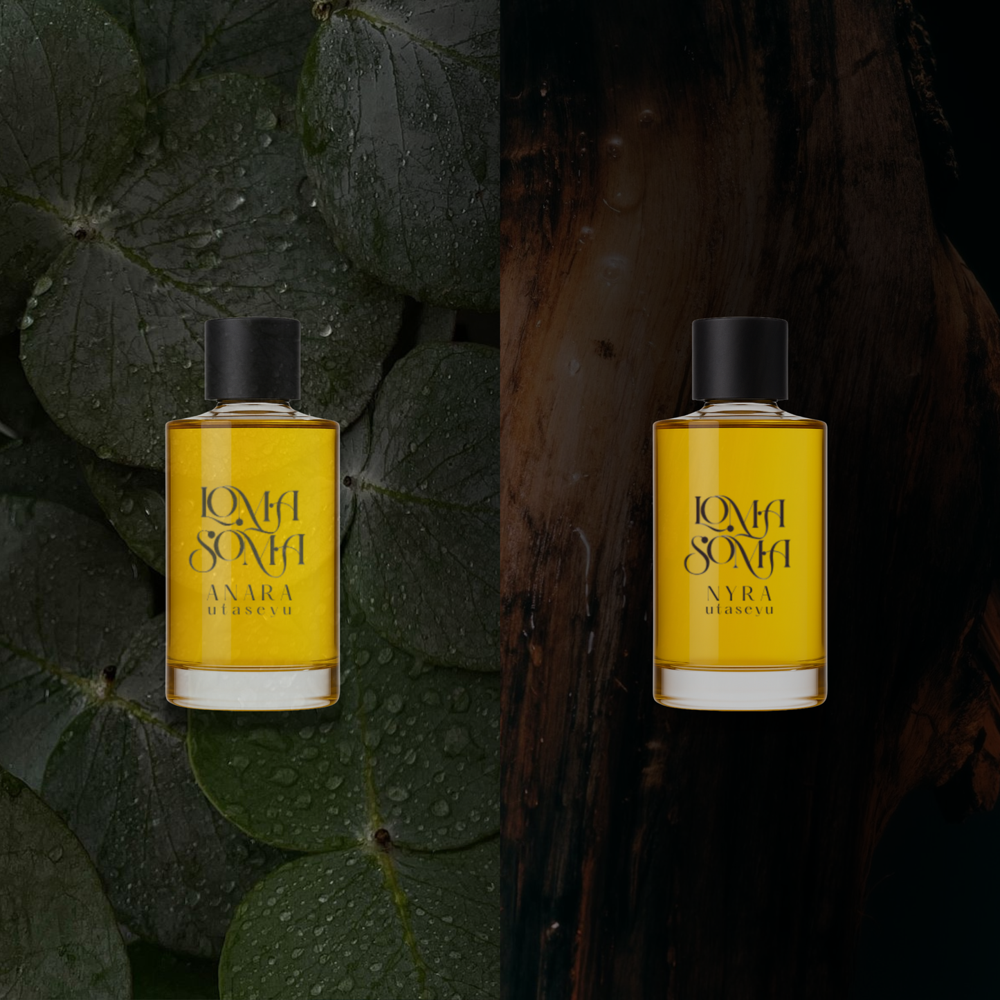 Loma - Utaseyu Bath & Shower Oil